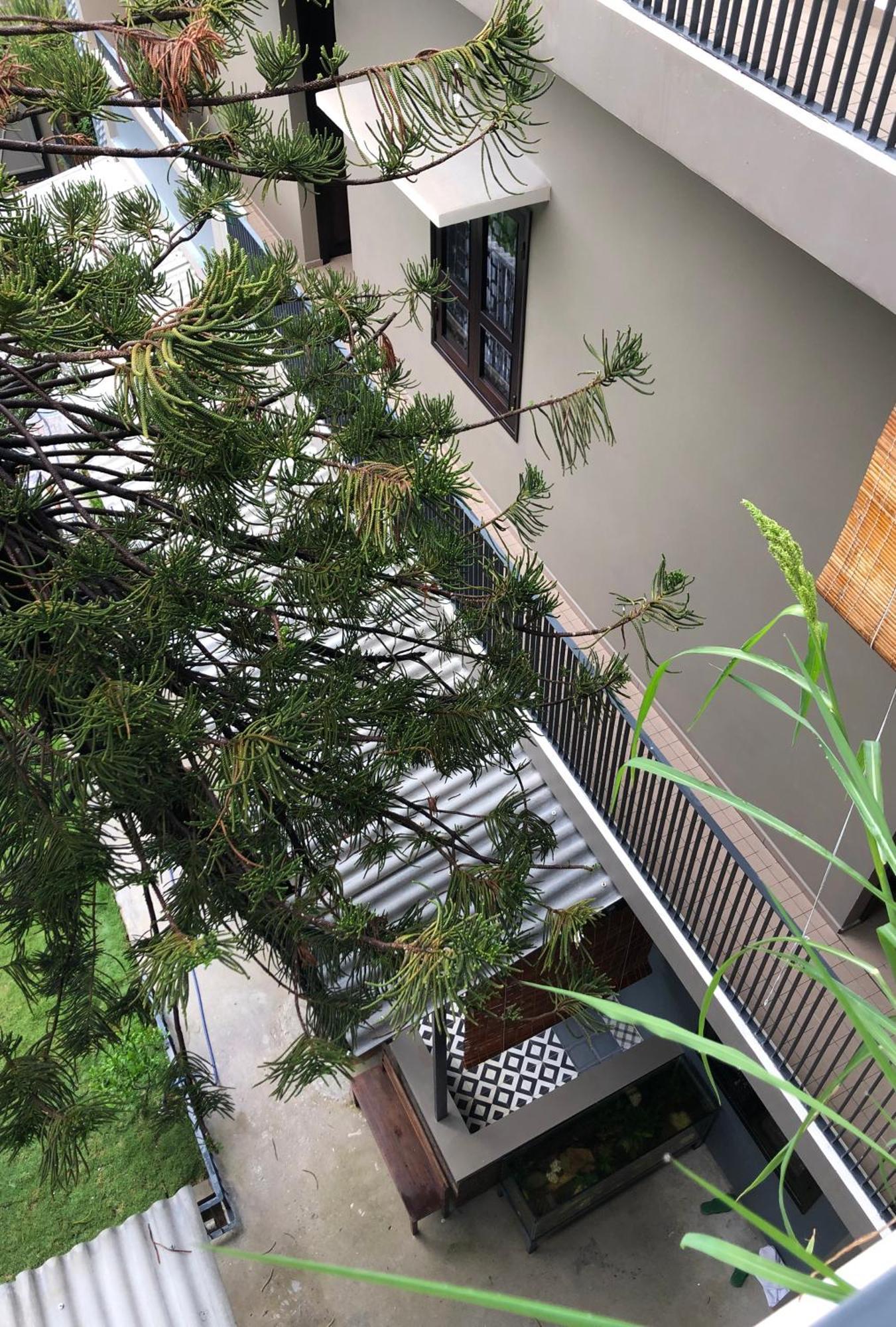 Kaia Residence Danang Quiet Garden Pokoj fotografie